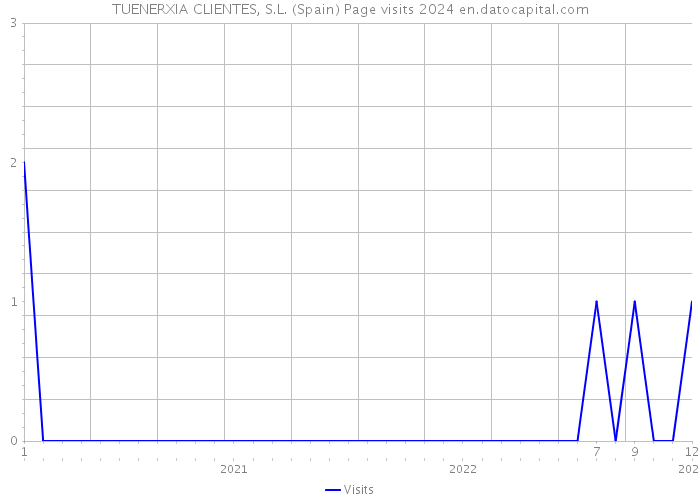 TUENERXIA CLIENTES, S.L. (Spain) Page visits 2024 