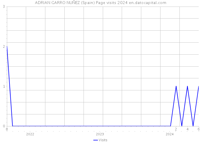 ADRIAN GARRO NUÑEZ (Spain) Page visits 2024 