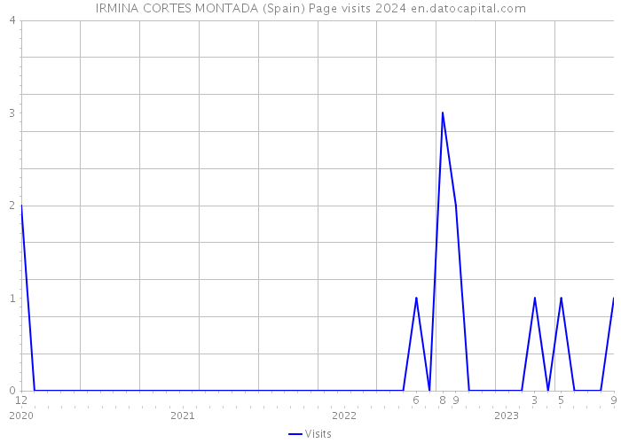 IRMINA CORTES MONTADA (Spain) Page visits 2024 