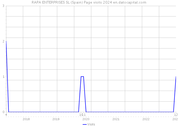 RAPA ENTERPRISES SL (Spain) Page visits 2024 