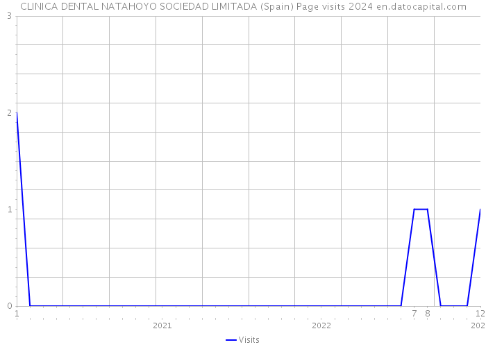 CLINICA DENTAL NATAHOYO SOCIEDAD LIMITADA (Spain) Page visits 2024 