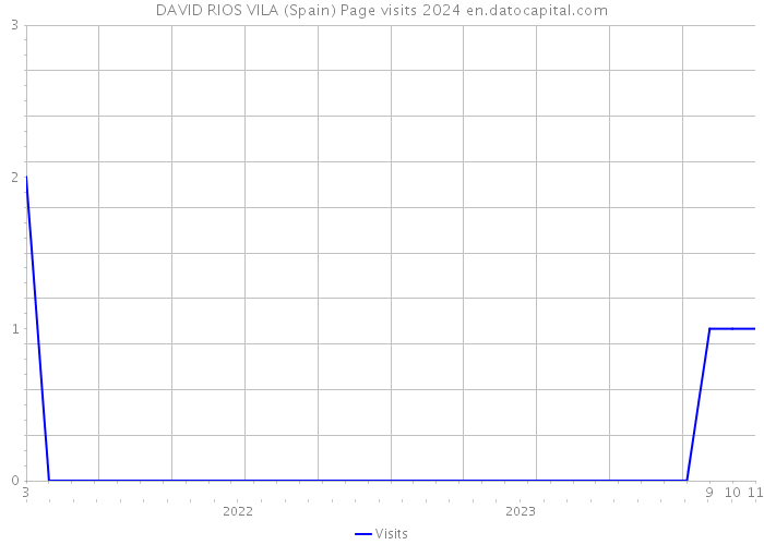 DAVID RIOS VILA (Spain) Page visits 2024 