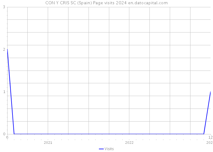 CON Y CRIS SC (Spain) Page visits 2024 