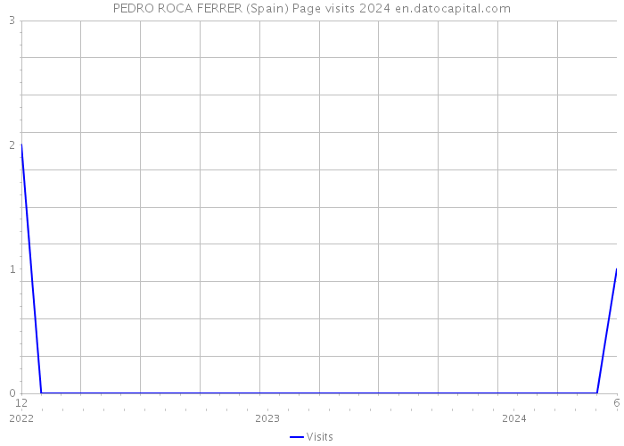 PEDRO ROCA FERRER (Spain) Page visits 2024 