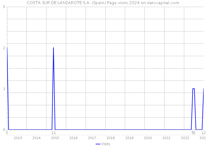 COSTA SUR DE LANZAROTE S.A. (Spain) Page visits 2024 
