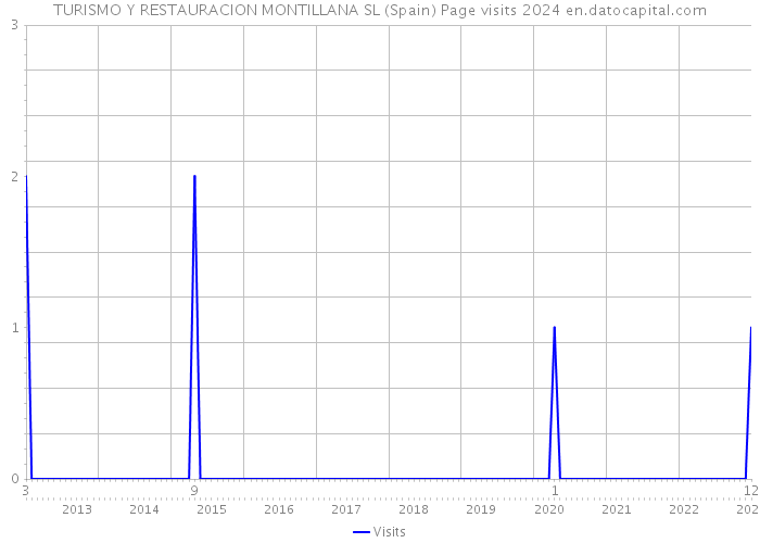 TURISMO Y RESTAURACION MONTILLANA SL (Spain) Page visits 2024 