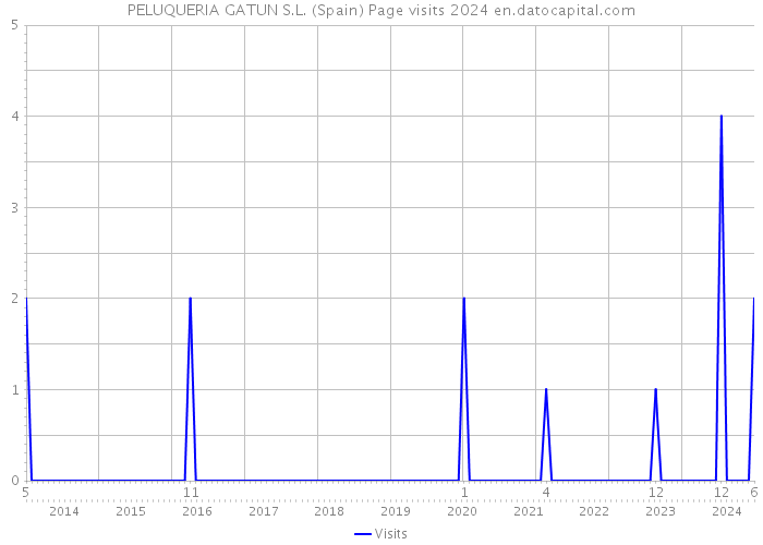 PELUQUERIA GATUN S.L. (Spain) Page visits 2024 