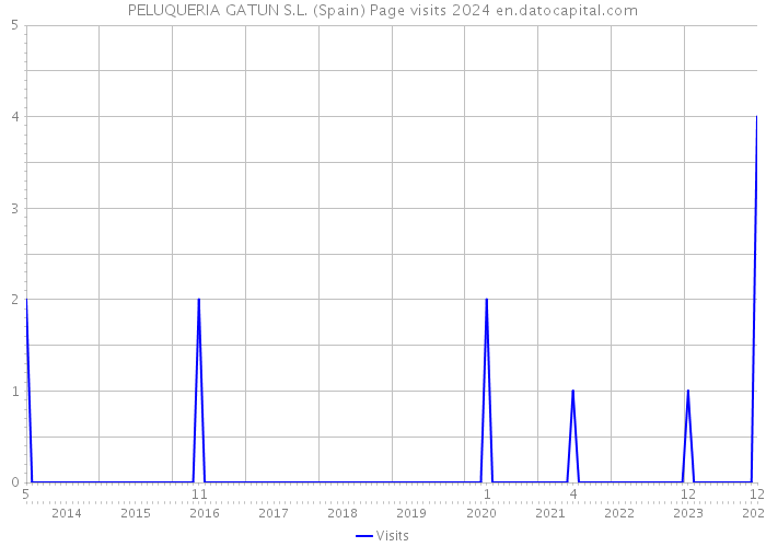 PELUQUERIA GATUN S.L. (Spain) Page visits 2024 