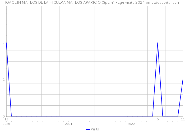 JOAQUIN MATEOS DE LA HIGUERA MATEOS APARICIO (Spain) Page visits 2024 