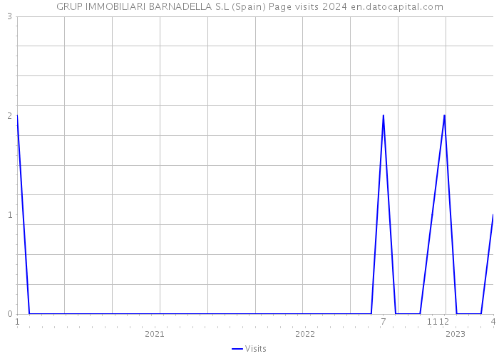 GRUP IMMOBILIARI BARNADELLA S.L (Spain) Page visits 2024 