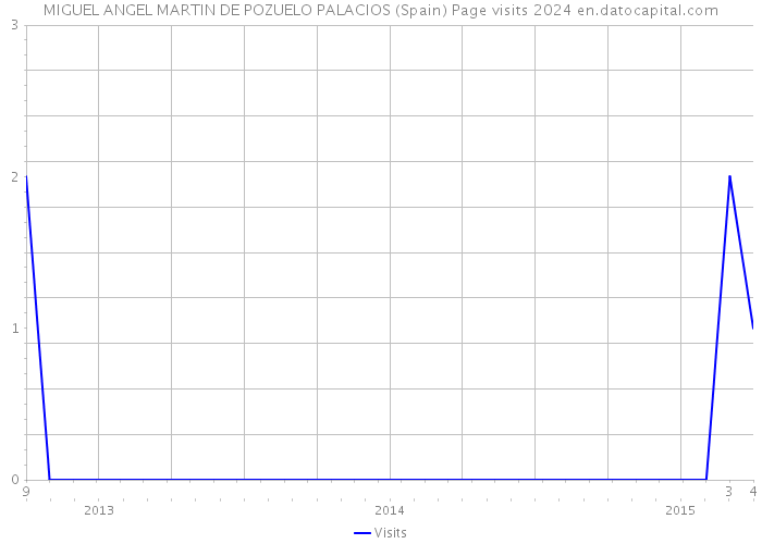 MIGUEL ANGEL MARTIN DE POZUELO PALACIOS (Spain) Page visits 2024 
