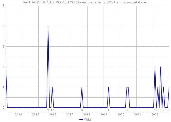 SANTIAGO DE CASTRO PELAYO (Spain) Page visits 2024 