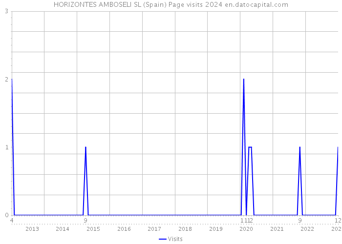 HORIZONTES AMBOSELI SL (Spain) Page visits 2024 