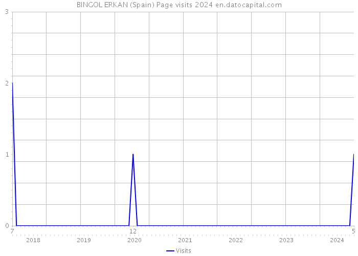 BINGOL ERKAN (Spain) Page visits 2024 