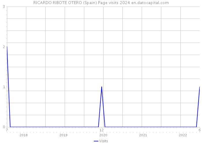 RICARDO RIBOTE OTERO (Spain) Page visits 2024 