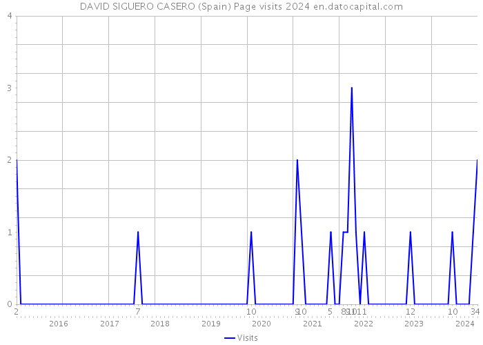 DAVID SIGUERO CASERO (Spain) Page visits 2024 
