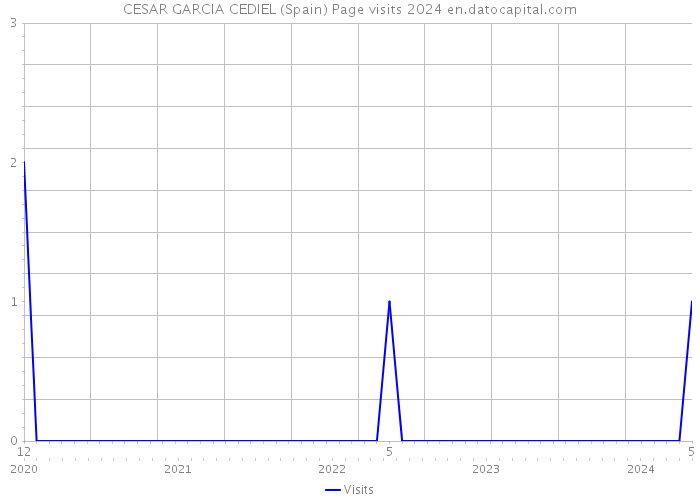 CESAR GARCIA CEDIEL (Spain) Page visits 2024 
