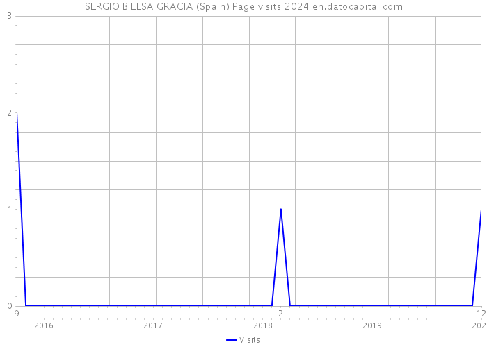 SERGIO BIELSA GRACIA (Spain) Page visits 2024 