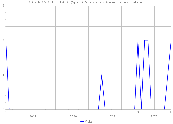 CASTRO MIGUEL GEA DE (Spain) Page visits 2024 