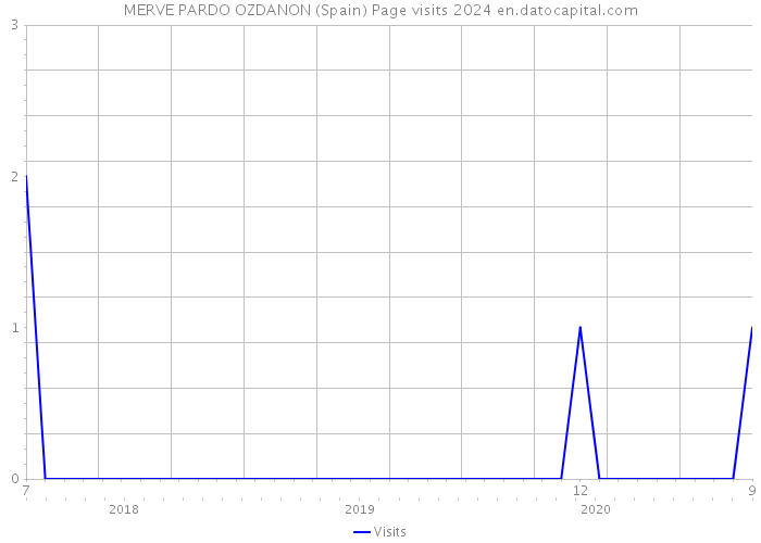 MERVE PARDO OZDANON (Spain) Page visits 2024 