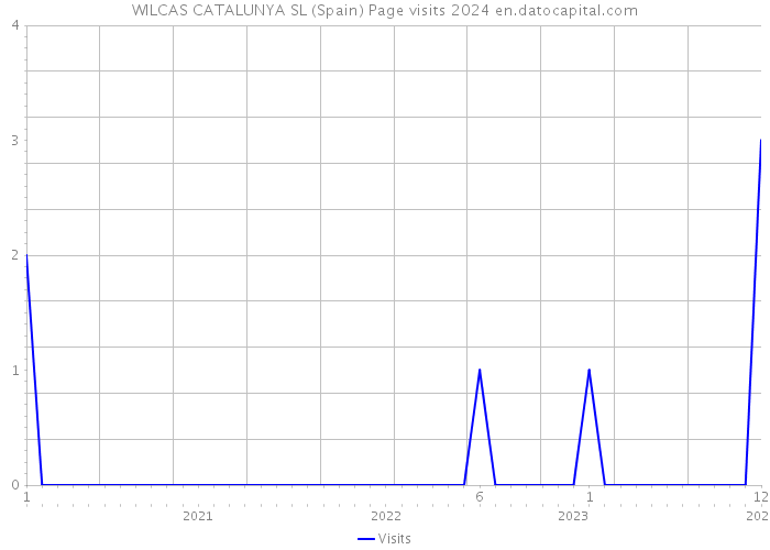 WILCAS CATALUNYA SL (Spain) Page visits 2024 