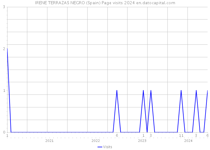 IRENE TERRAZAS NEGRO (Spain) Page visits 2024 