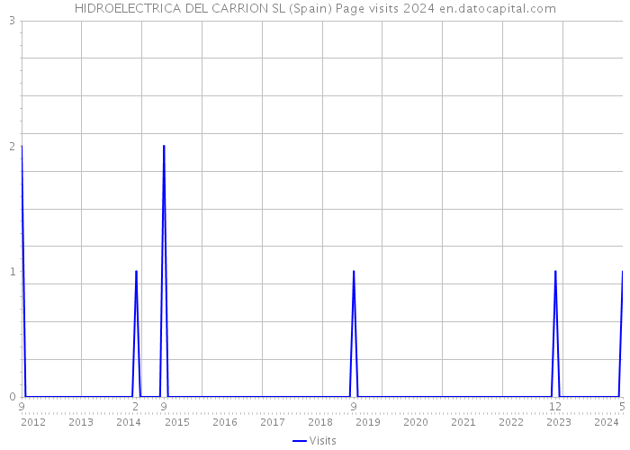 HIDROELECTRICA DEL CARRION SL (Spain) Page visits 2024 