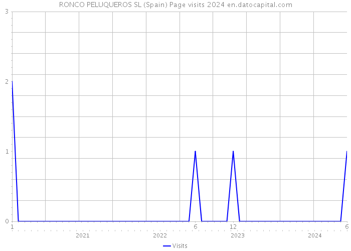 RONCO PELUQUEROS SL (Spain) Page visits 2024 