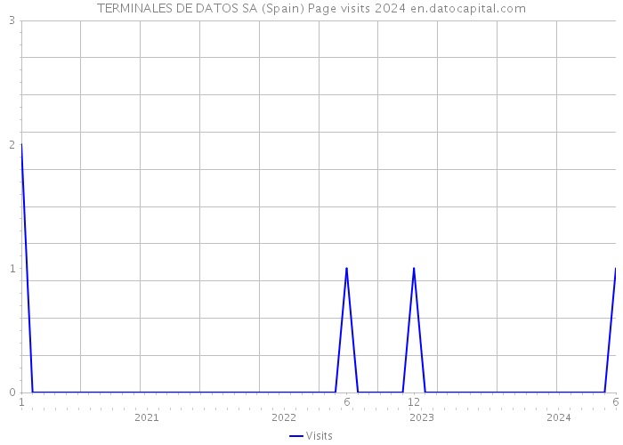 TERMINALES DE DATOS SA (Spain) Page visits 2024 