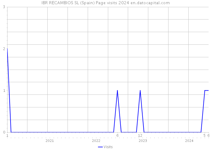 IBR RECAMBIOS SL (Spain) Page visits 2024 