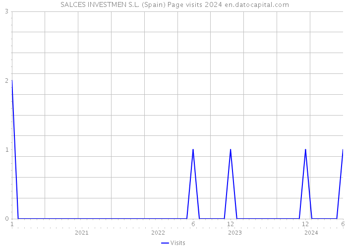  SALCES INVESTMEN S.L. (Spain) Page visits 2024 