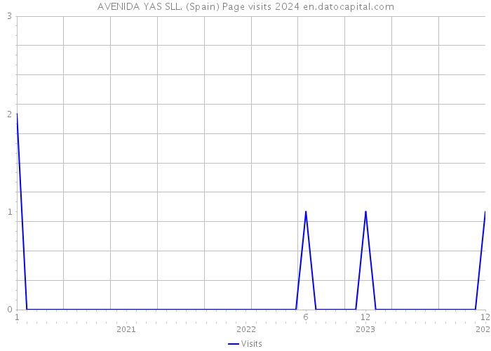AVENIDA YAS SLL. (Spain) Page visits 2024 