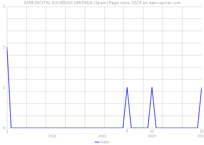 SARE DIGITAL SOCIEDAD LIMITADA (Spain) Page visits 2024 