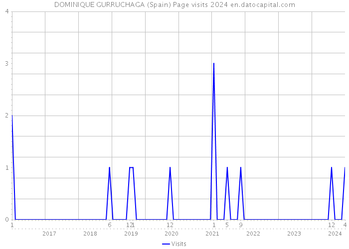 DOMINIQUE GURRUCHAGA (Spain) Page visits 2024 