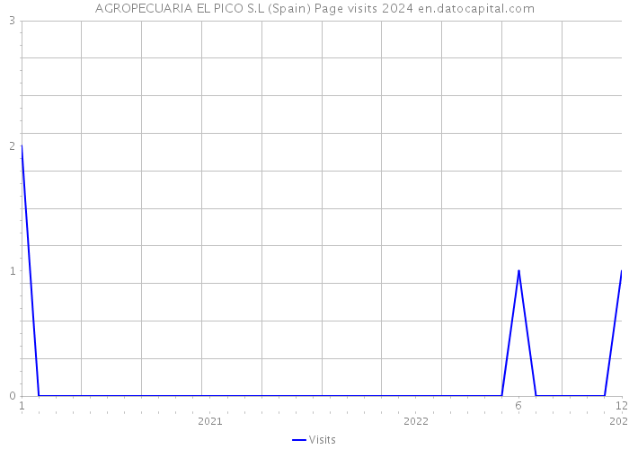 AGROPECUARIA EL PICO S.L (Spain) Page visits 2024 