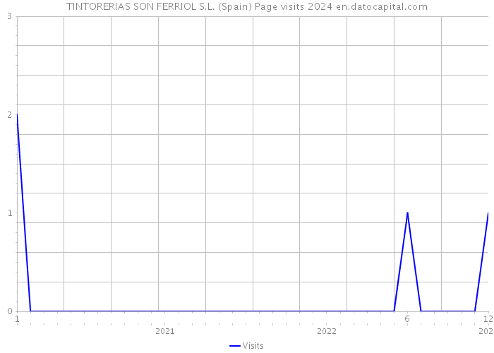 TINTORERIAS SON FERRIOL S.L. (Spain) Page visits 2024 