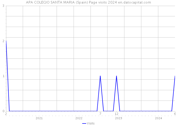 APA COLEGIO SANTA MARIA (Spain) Page visits 2024 