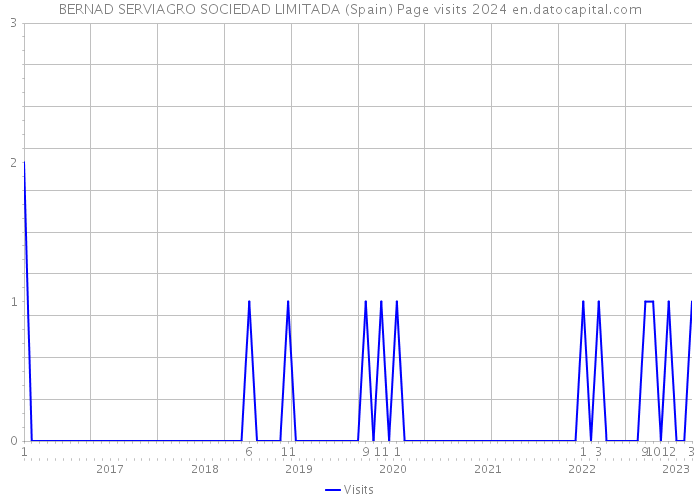 BERNAD SERVIAGRO SOCIEDAD LIMITADA (Spain) Page visits 2024 