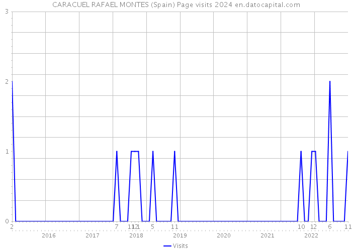 CARACUEL RAFAEL MONTES (Spain) Page visits 2024 