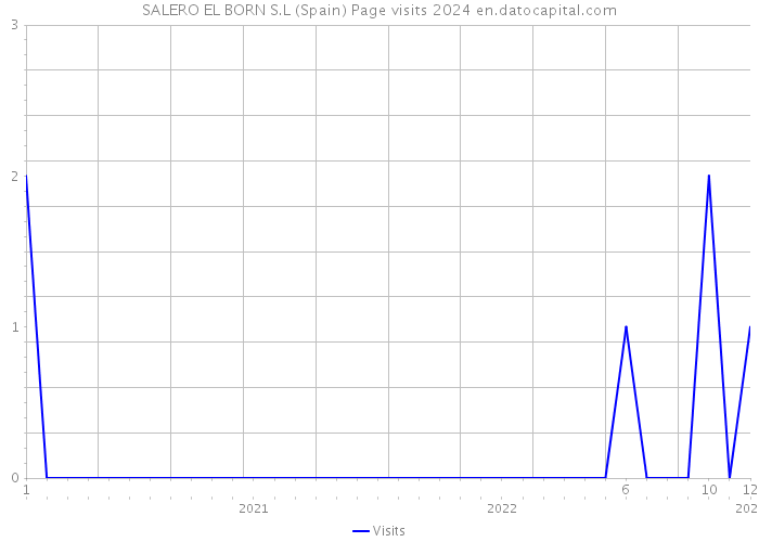 SALERO EL BORN S.L (Spain) Page visits 2024 