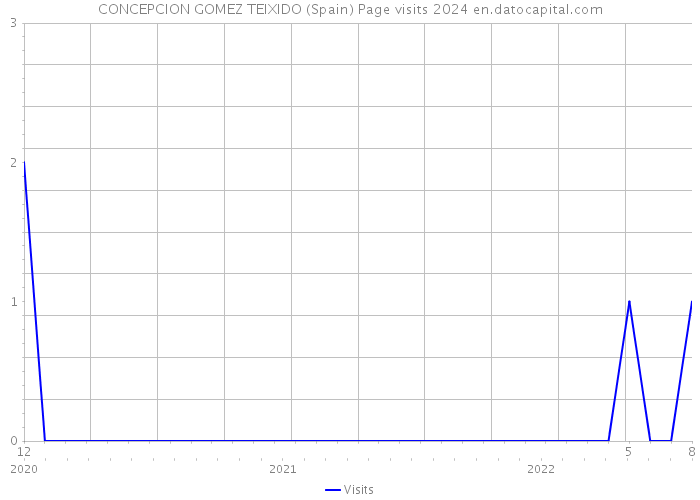 CONCEPCION GOMEZ TEIXIDO (Spain) Page visits 2024 