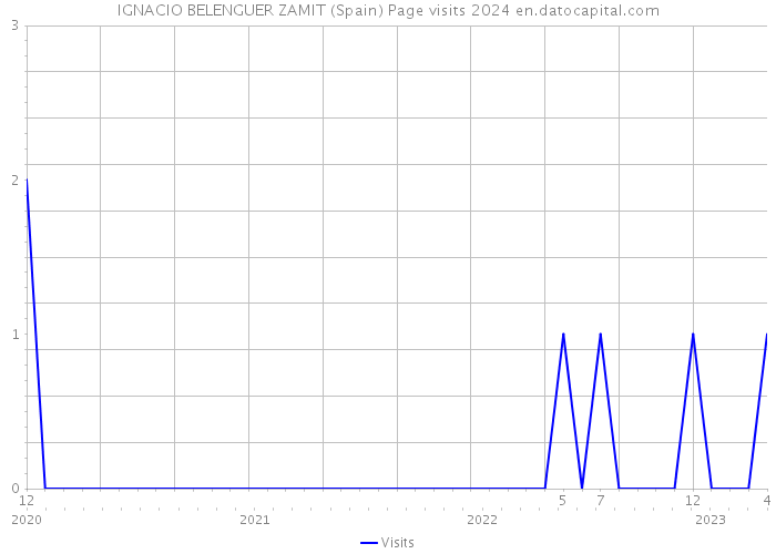 IGNACIO BELENGUER ZAMIT (Spain) Page visits 2024 