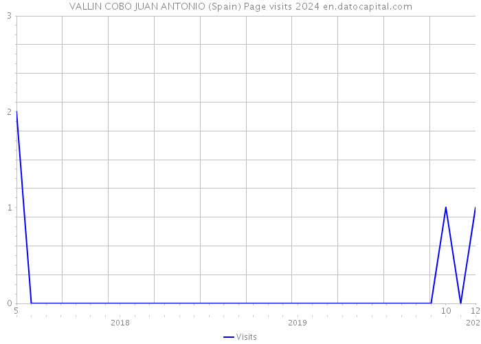 VALLIN COBO JUAN ANTONIO (Spain) Page visits 2024 