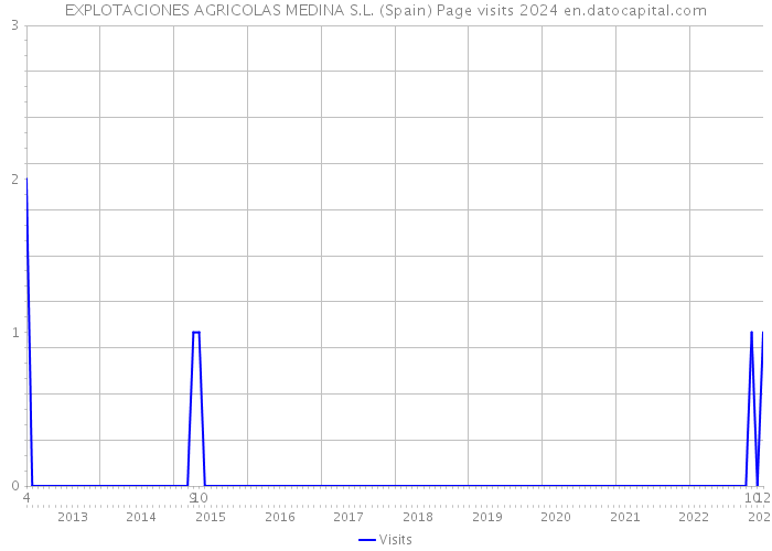 EXPLOTACIONES AGRICOLAS MEDINA S.L. (Spain) Page visits 2024 