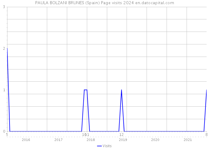 PAULA BOLZANI BRUNES (Spain) Page visits 2024 