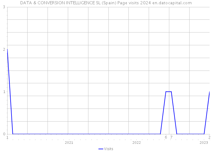 DATA & CONVERSION INTELLIGENCE SL (Spain) Page visits 2024 