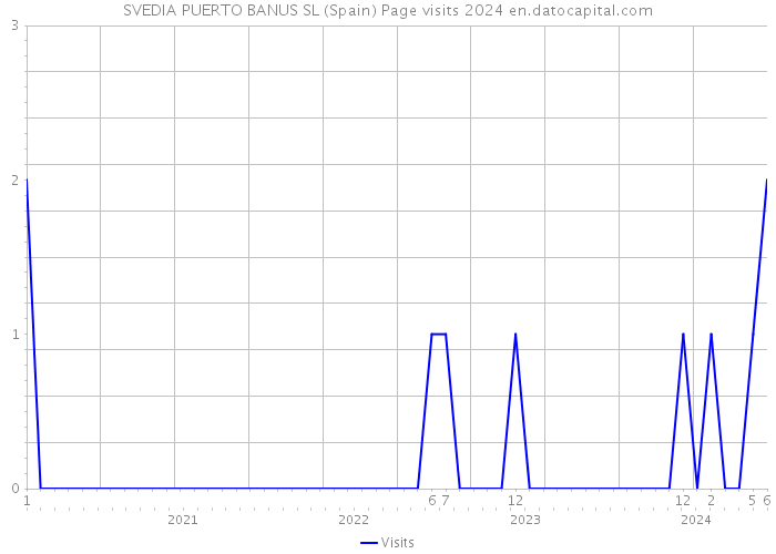 SVEDIA PUERTO BANUS SL (Spain) Page visits 2024 