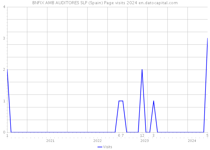 BNFIX AMB AUDITORES SLP (Spain) Page visits 2024 