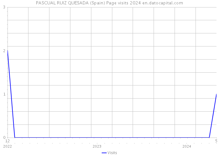 PASCUAL RUIZ QUESADA (Spain) Page visits 2024 