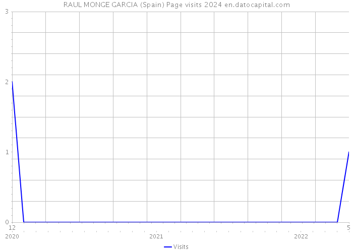 RAUL MONGE GARCIA (Spain) Page visits 2024 